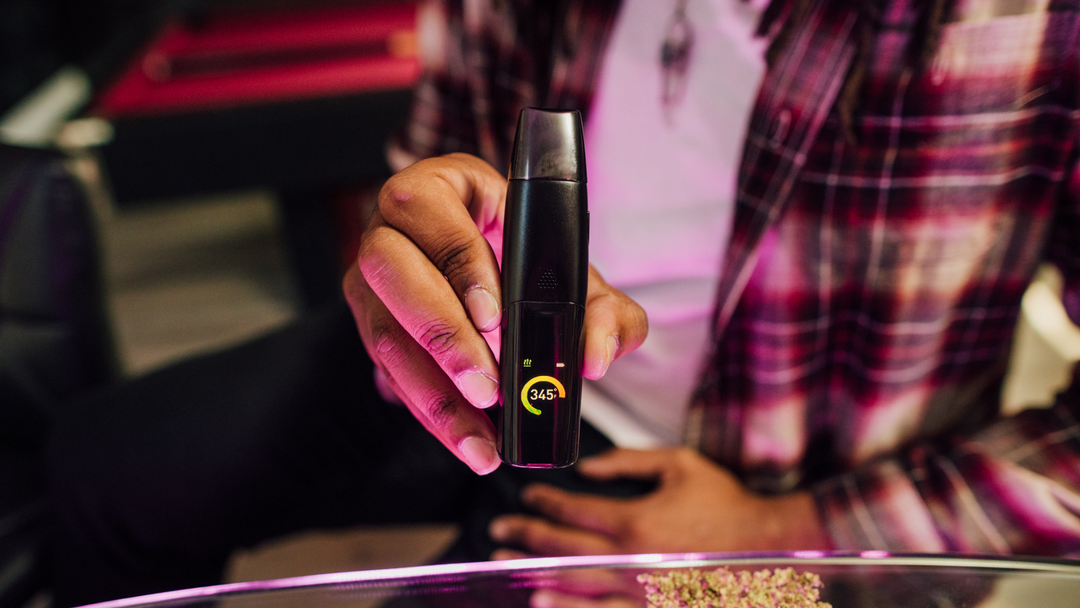 How to Vape Dry Herb for Beginners