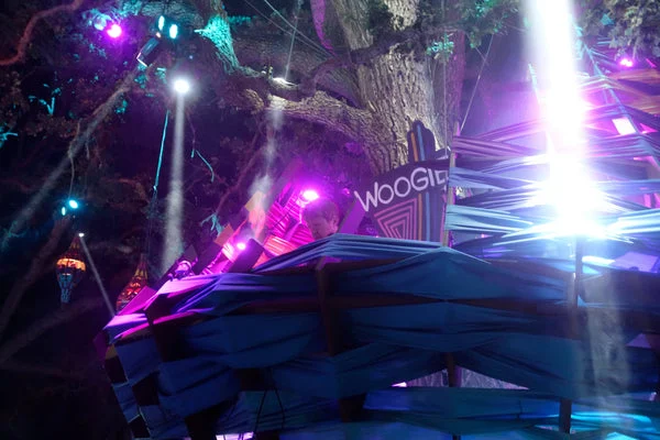 The Magic, Madness, and Beauty of Lightning in a Bottle
