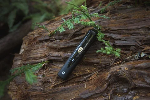 Photos | Serenity in the Redwoods
